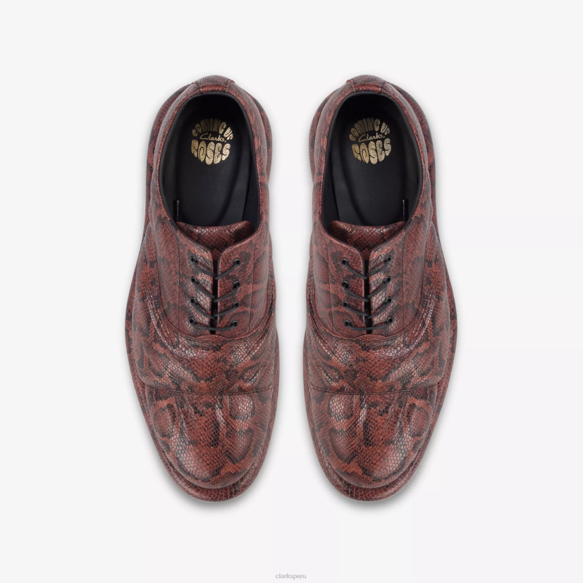 HZVP774 martine rose hombre oxford 1 serpiente marrón Clarks