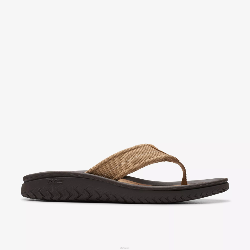 HZVP877 cinturón wesley desierto Clarks