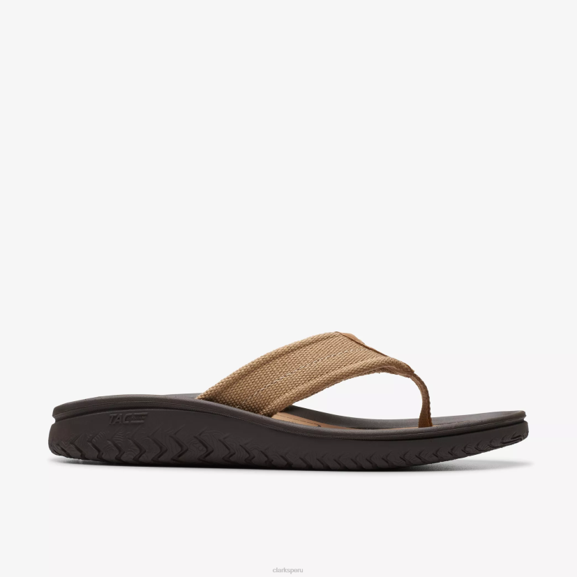 HZVP877 cinturón wesley desierto Clarks