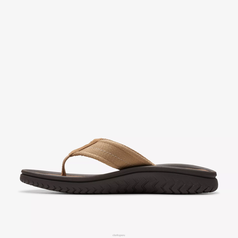 HZVP877 cinturón wesley desierto Clarks