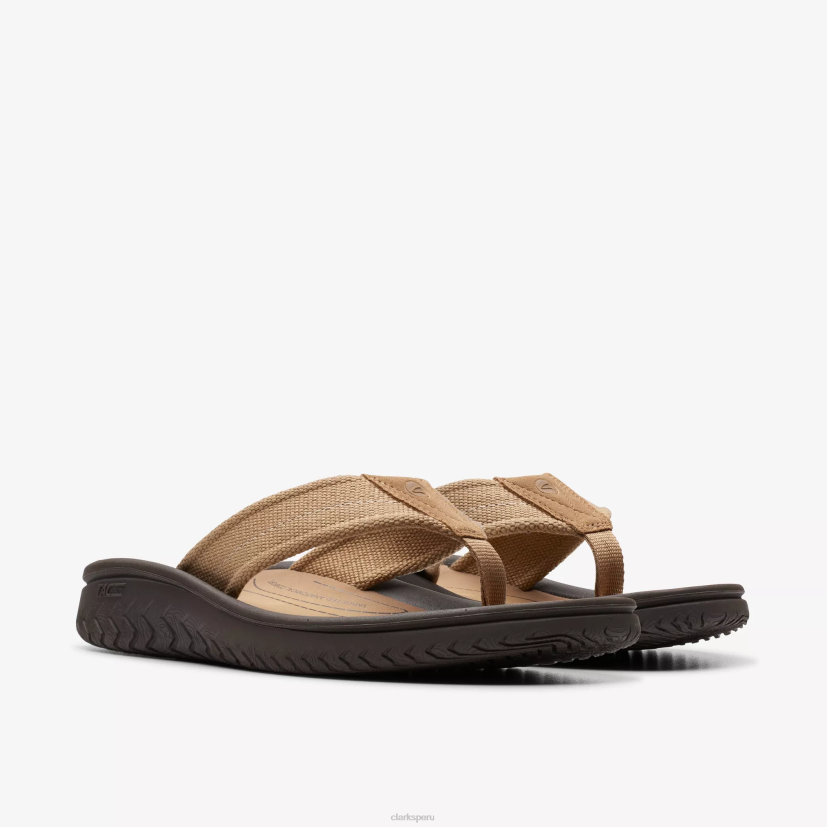 HZVP877 cinturón wesley desierto Clarks