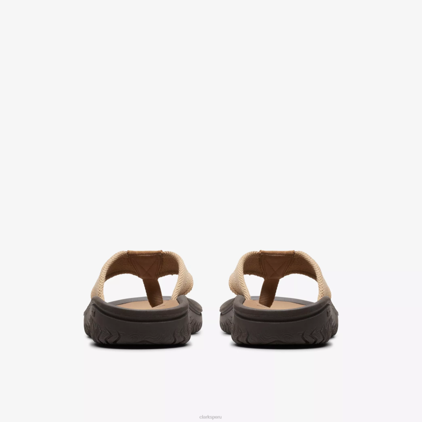 HZVP877 cinturón wesley desierto Clarks