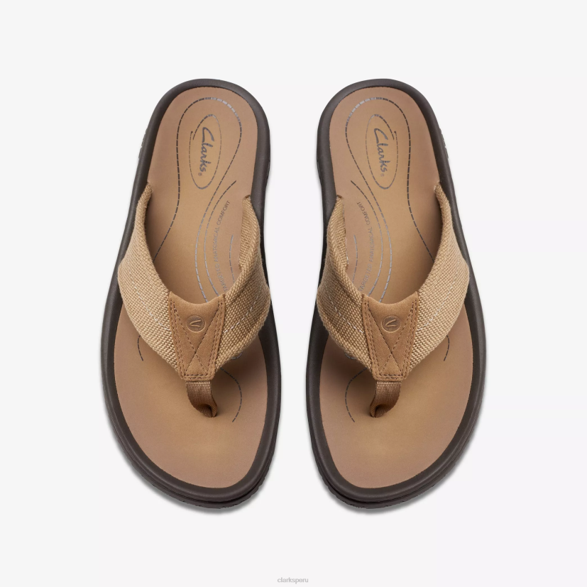 HZVP877 cinturón wesley desierto Clarks