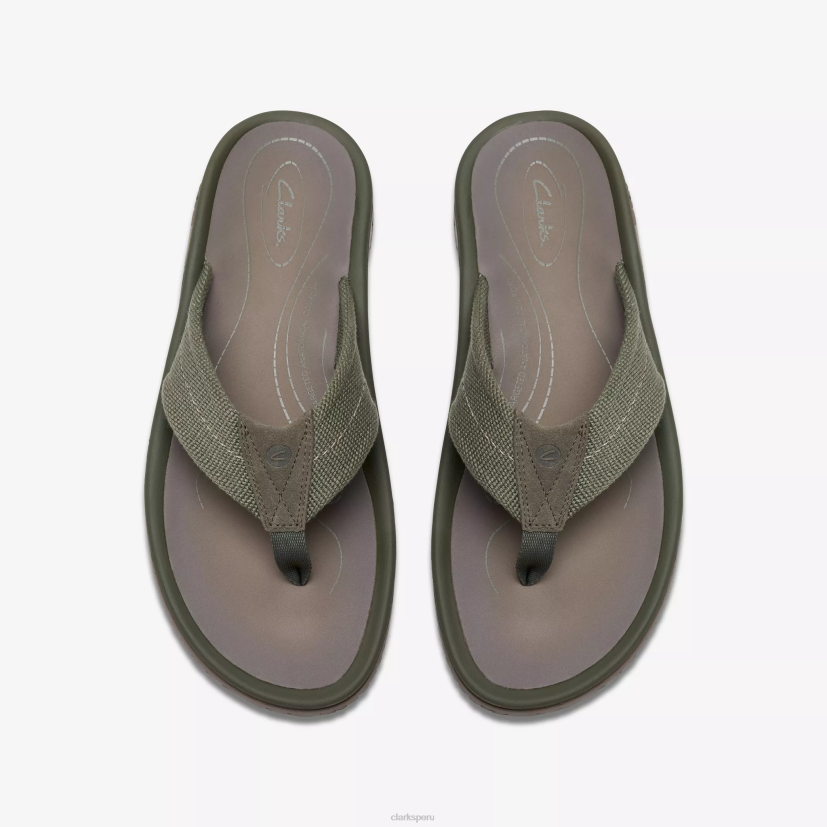 HZVP878 cinturón wesley aceituna Clarks