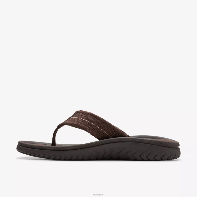 HZVP880 cinturón wesley marron oscuro Clarks
