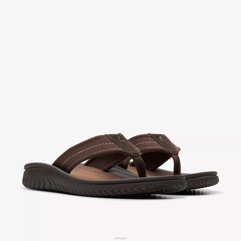 HZVP880 cinturón wesley marron oscuro Clarks
