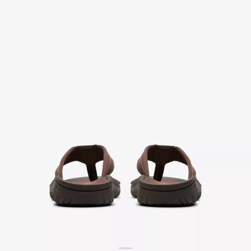 HZVP880 cinturón wesley marron oscuro Clarks