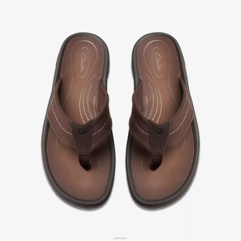 HZVP880 cinturón wesley marron oscuro Clarks