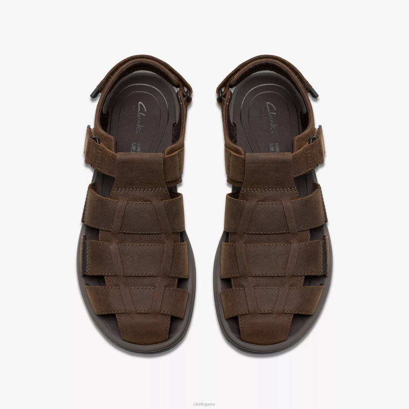 HZVP885 cala salada cuero marrón oscuro Clarks