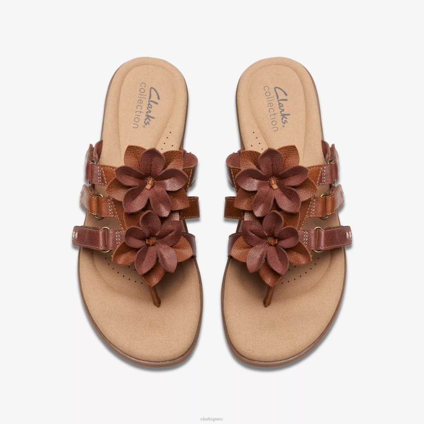 HZVP373 elizabelle mae combinación de bronceado Clarks
