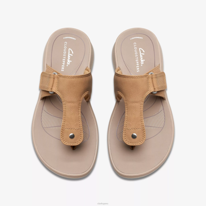 HZVP72 caminata deslizante nuez Clarks